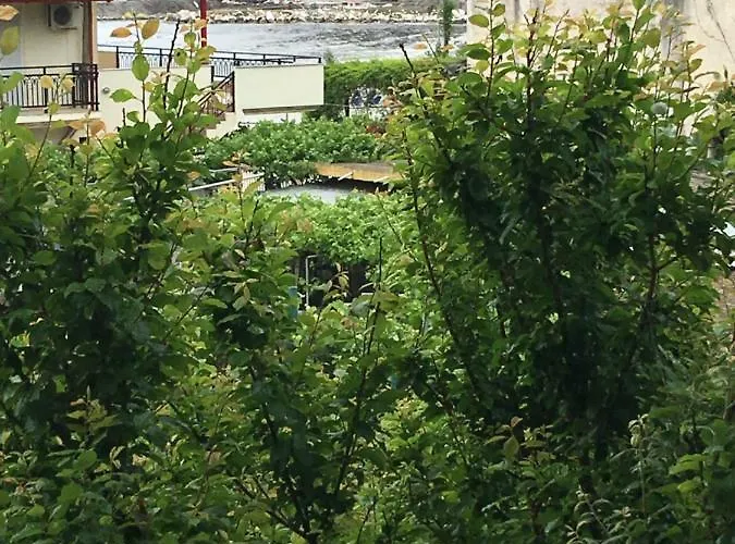 Venia's House Apartamento Skala Potamias